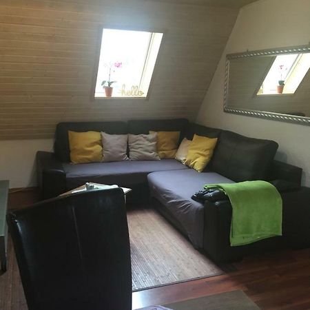 Wohnung Nur Fuer Monteure Und Handwerker Bad Krozingen Exteriör bild