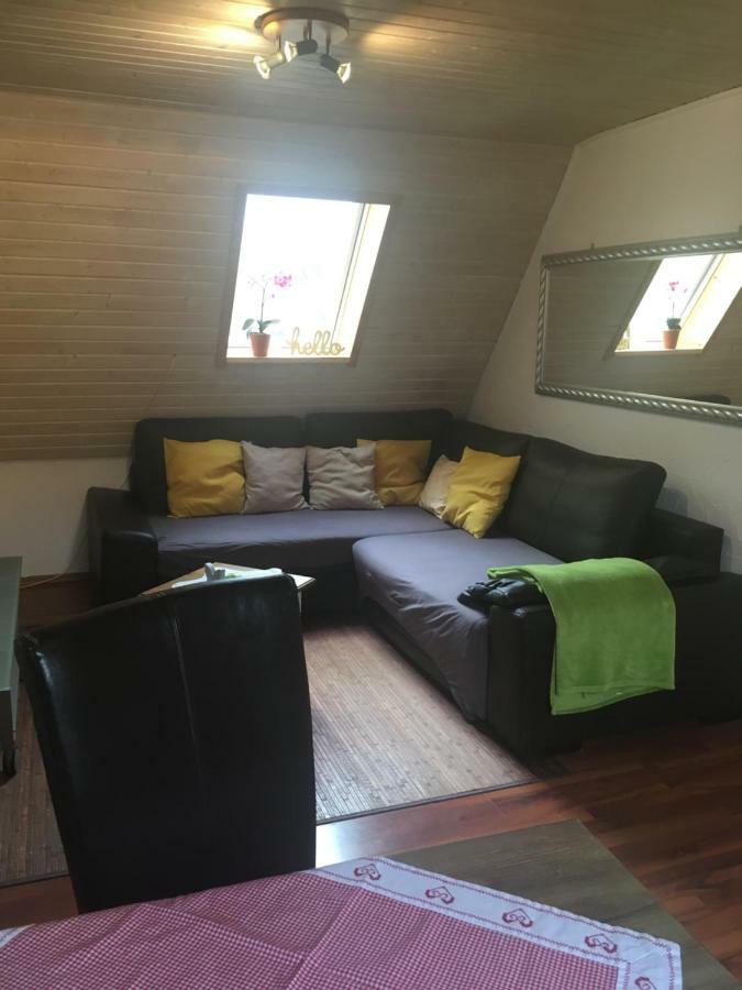 Wohnung Nur Fuer Monteure Und Handwerker Bad Krozingen Exteriör bild